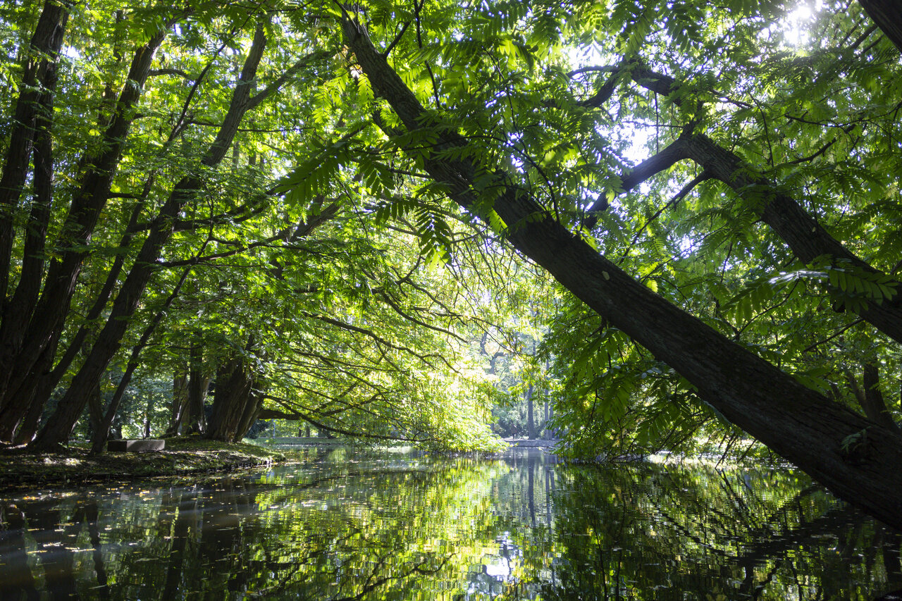 Baner: strategia rozwoju miasta Gdańsk 2030 Plus, czerwone tło i panorama Gdańska