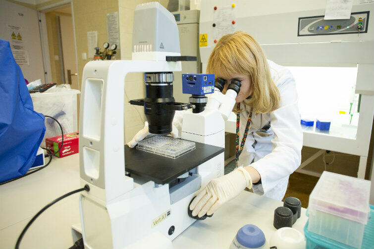 Metoda leczenia cukrzycy typu 1 u dzieci powstała w laboratorium Zakładu Immunologii Klinicznej i Transplantologii GUMed.