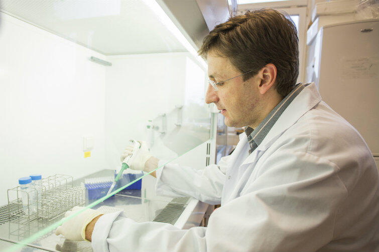 Prof. Piotr Trzonowski podczas pracy w swoim laboratorium.