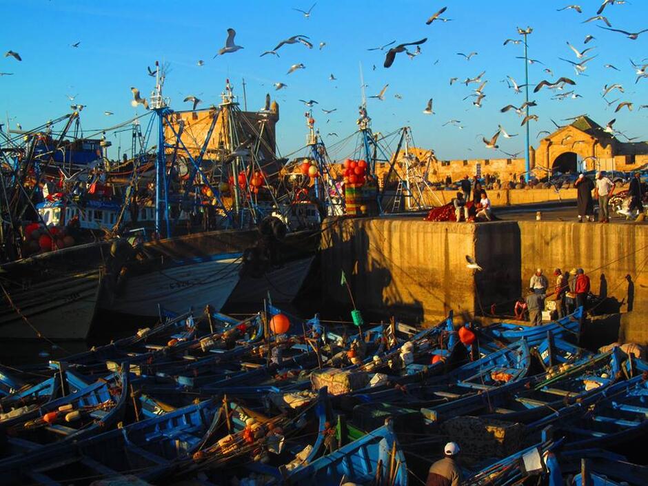 Miejscowość Essouira nad Atlantykiem