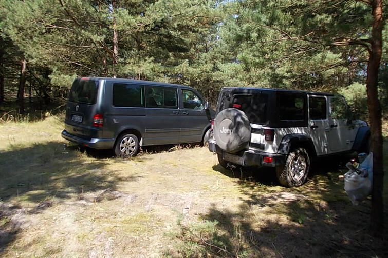 Jeepem łatwo wjechać do lasu. Ale to zabronione! Tu auta w lesie przy plaży na Wyspie Sobieszewskiej.