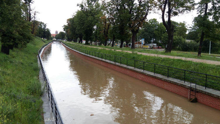Kanał Raduni kilka minut po godz. 7 rano