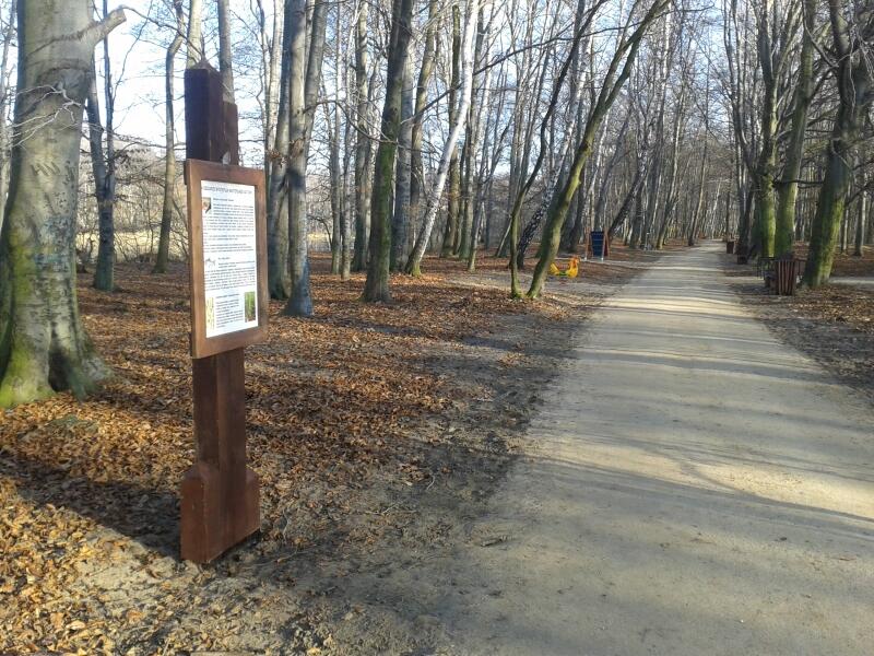 Pusty Staw na Stogach już nie taki pusty. Po rewitalizacji tego miejsca chętniej zaglądają tu mieszkańcy
