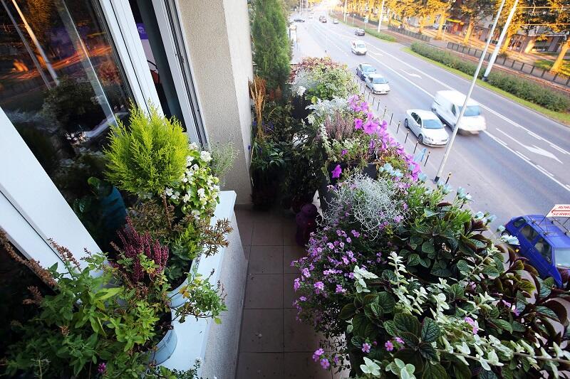 Balkon Agnieszki Połczyńskiej-Trojak, najpiękniejszy w Gdańsku w 2016 r.