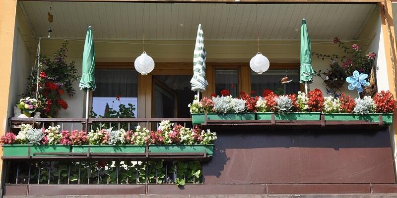 Balkon Gertrudy Klotzke zasłużył na miejsce III
