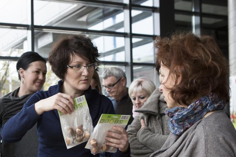 Cebulki kwiatowe będą przekazywane w opakowaniach zawierających informacje dotyczące prawidłowej uprawy danej rośliny