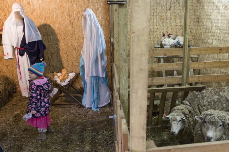 Żywa szkopka w parafii pw. Zmartwychwstania Pańskiego, Gdańsk Strzyża