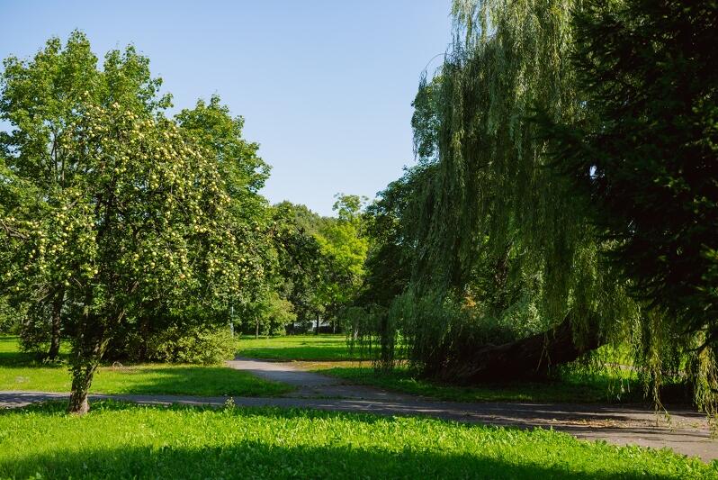 Park im. Steffensów w Gdańsku Aniołkach