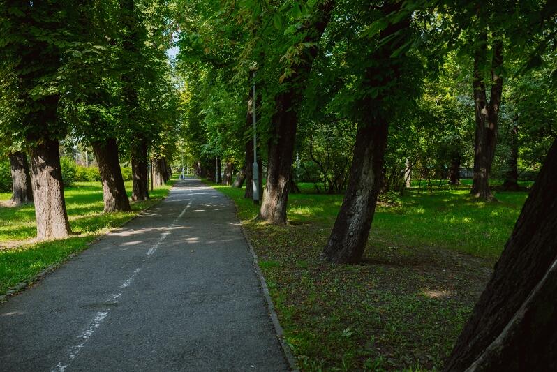 Park ma zostać przystosowany do organizacji imprez kulturalnych oraz funkcji rekreacyjnych