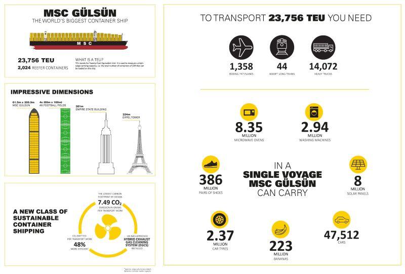 Infographic_2B-Final-version-antonino