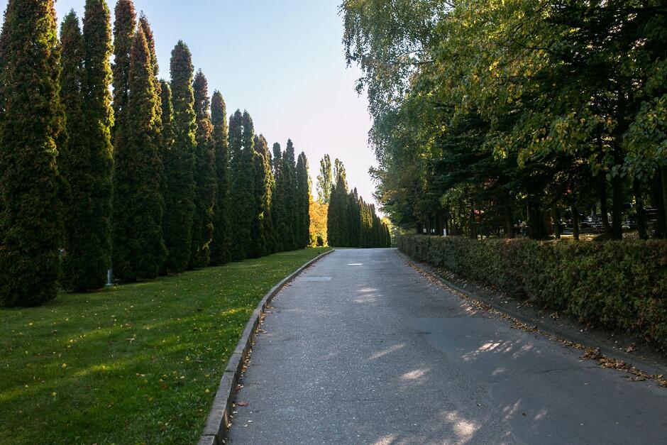 Największy, nowy cmentarz komunalny w Gdańsku. Zajmuje rozległy teren, około 50 ha