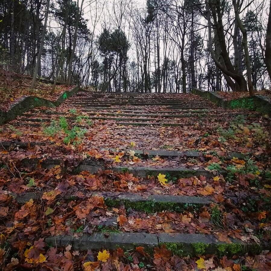 Trzecie miejsce przyznano fotografii przedstawiającej lokalne schody