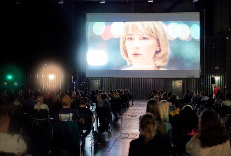 “Swallow” w reż. Carlo Mirabelli-Davisa to jedyny film niepolski w Konkursie Głównym. Premiera odbyła się w Gdańsku we wtorek, 4 sierpnia o godz. 19 w Hali C AmberEXPO. Kolejny raz widzowie obejrzą Swallow