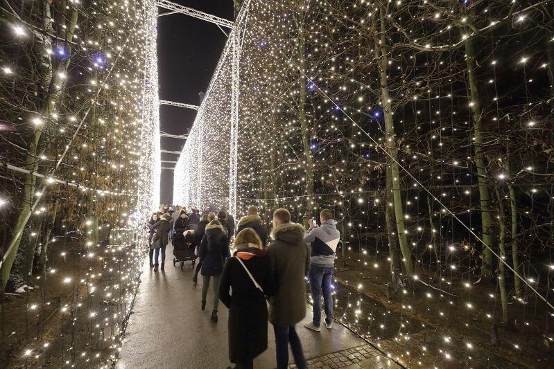 tunel ze światełek nocą w parku