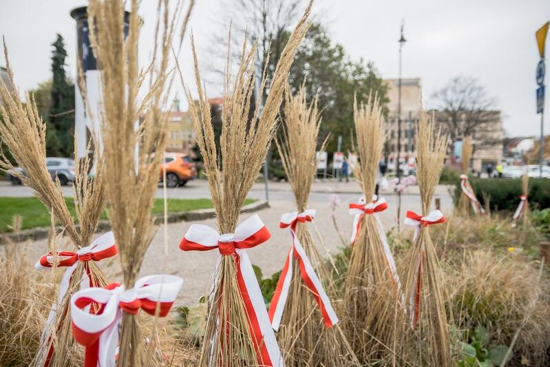 Trawy przewiązane biało - czerwonymi wstążkami