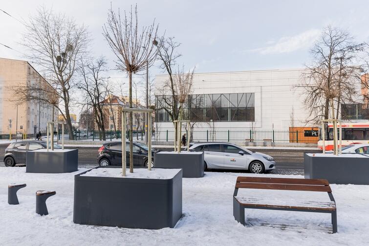 na zdjęciu widać zaśnieżoną ławkę , a także zaśnieżone drzewa zasadzone w donicach w kolorze czarnym