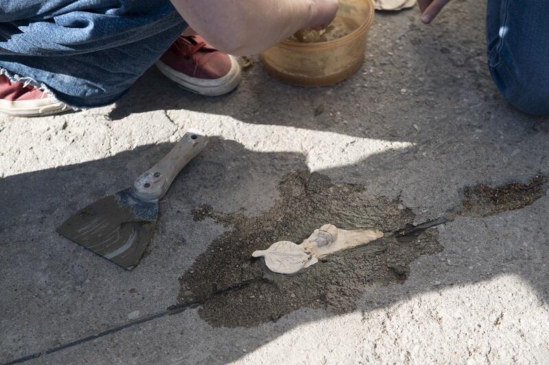Montaż biedronki autorstwa Blanki w betonowym chodniku 