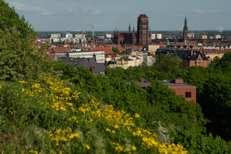 Gdańsk ma powody do dumy - jego kondycja finansowa w czasie pandemii została oceniona na wysokie, 5. miejsce. Nz. Panorama Gdańska z Góry Gradowej
