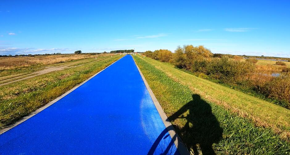 niebieski odcinek drogi rowerowej, po bokach zielone pola i odbijający się cień rowerzysty