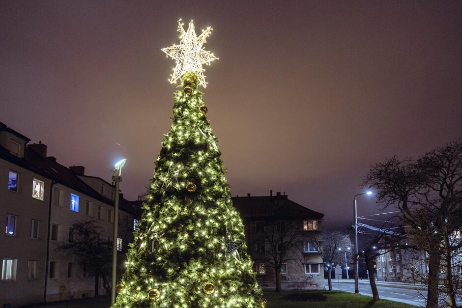 W Nowym Porcie rozświetlone świąteczne drzewko można zobaczyć na Placu Ks. Góreckiego
