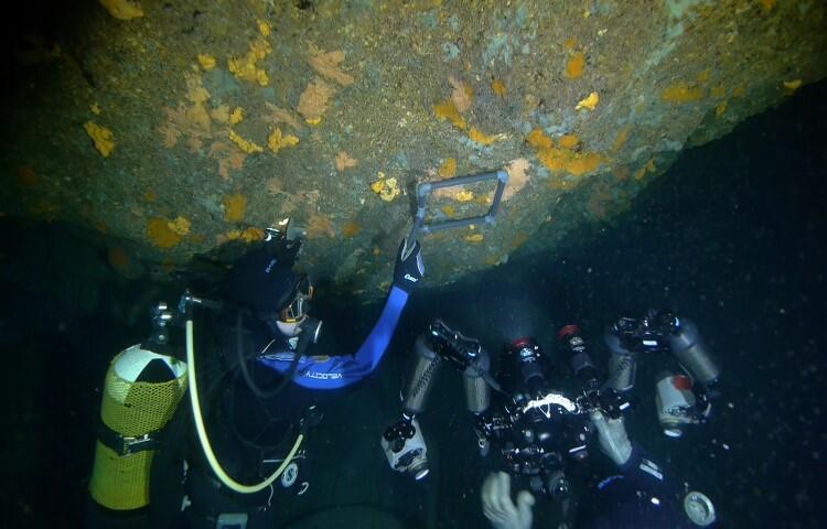 Marine Cave Benthic Terrazzo