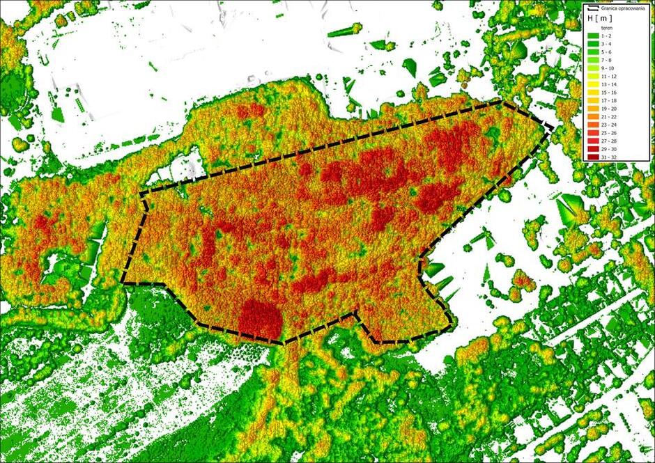 Mapa wysokości koron drzew