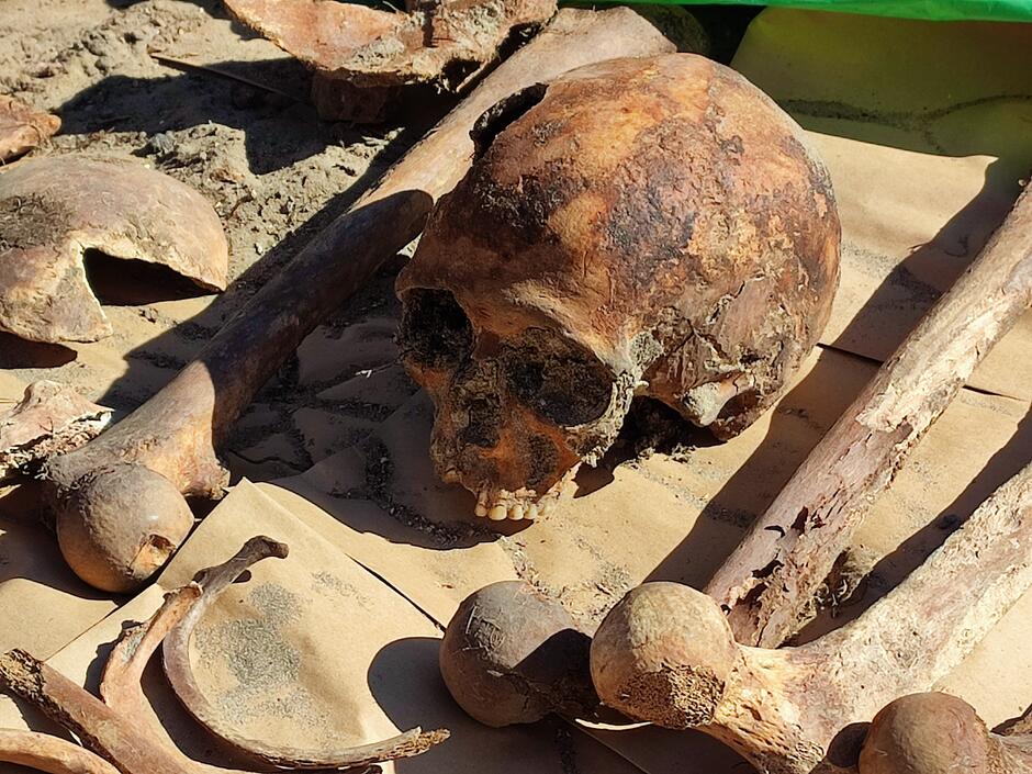 M.in. czaszkę należącą do starszego mężczyzny znaleziono w mogile na terenie szkoły na Stogach, gdzie powstaje Pump Track
