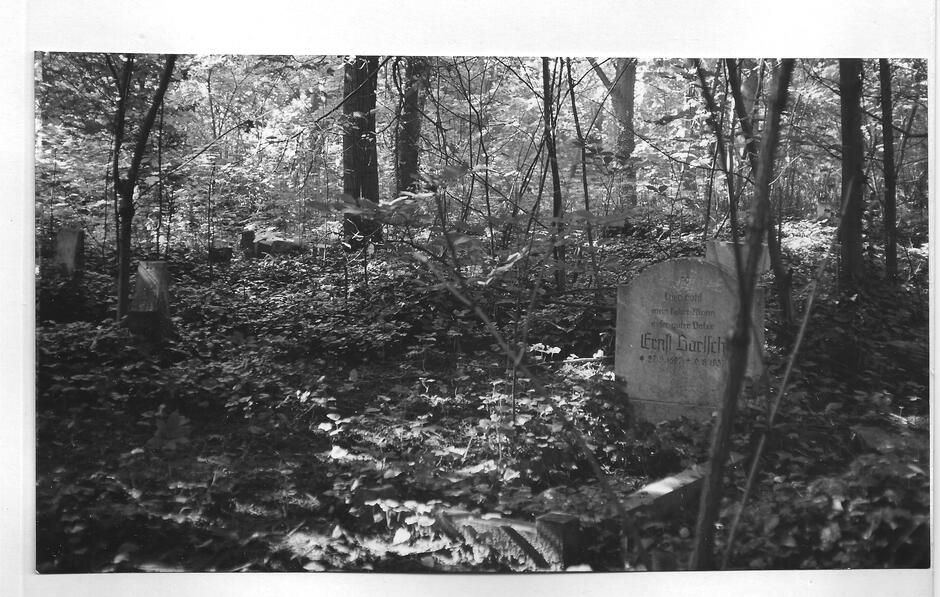 Zdewastowany cmentarz św. Trójcy, 1960 rok