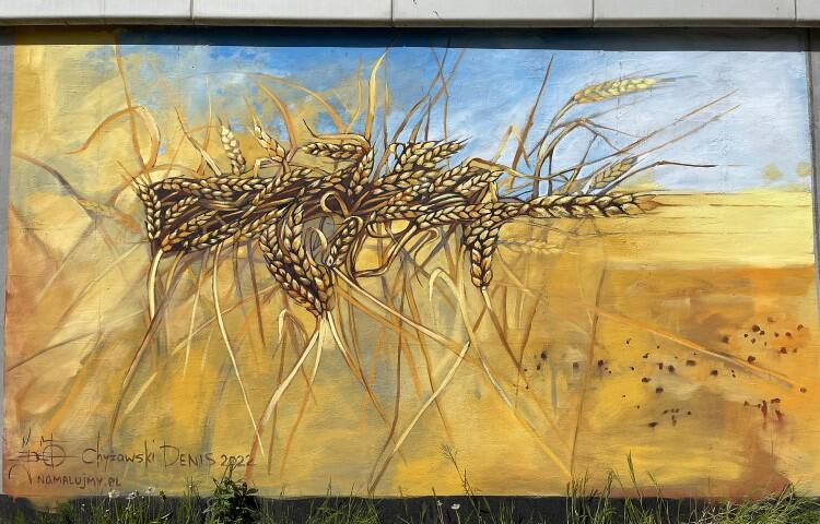 Praca Denisa Chyżawskiego: - Mural pokazuje symboliczne ukraińskie pole pszenicy, kłosy przeplatają się w taki sposób, że tworzą sylwetkę ukraińskiej broni Maliuk/Wulkan dając nadzieję całemu Ukraińskiemu Narodowi na zwycięstwo