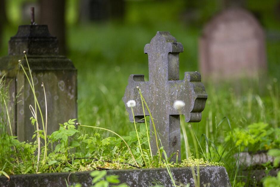 W sobotę, 28 maja, odbędzie się pierwsza w tym roku akcja sprzątania terenu Cmentarza Brętowskiego