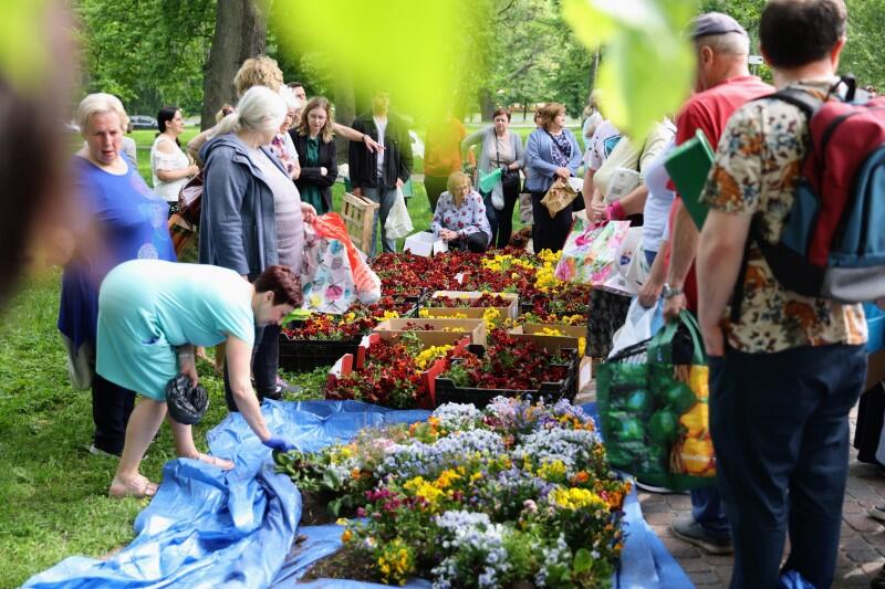 Na pierwszym planie skrzynki z kwatkami, z lewej strony stoją kobiety w średnim wieku, z prawej mężczyzna z plecakiem