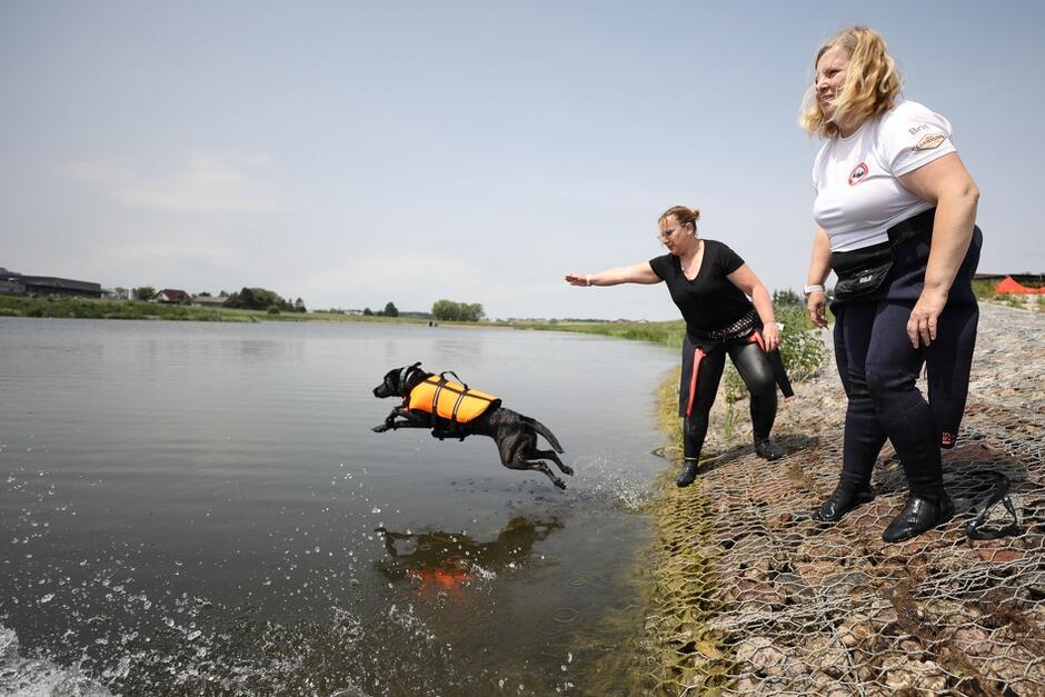 pies zatrzymany w ruchu skoku do wody, nad nim na brzegu stoją dwie kobiety, jedna wydaje mu polecenie