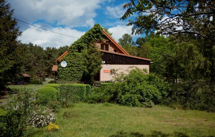 dom ze skośnym, pokrytym dachówką dachem, stoi w lesie, jest obrośnięty winoroślą