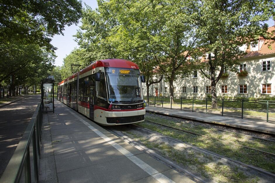 W Gdańsku funkcjonuje 12 linii tramwajowych