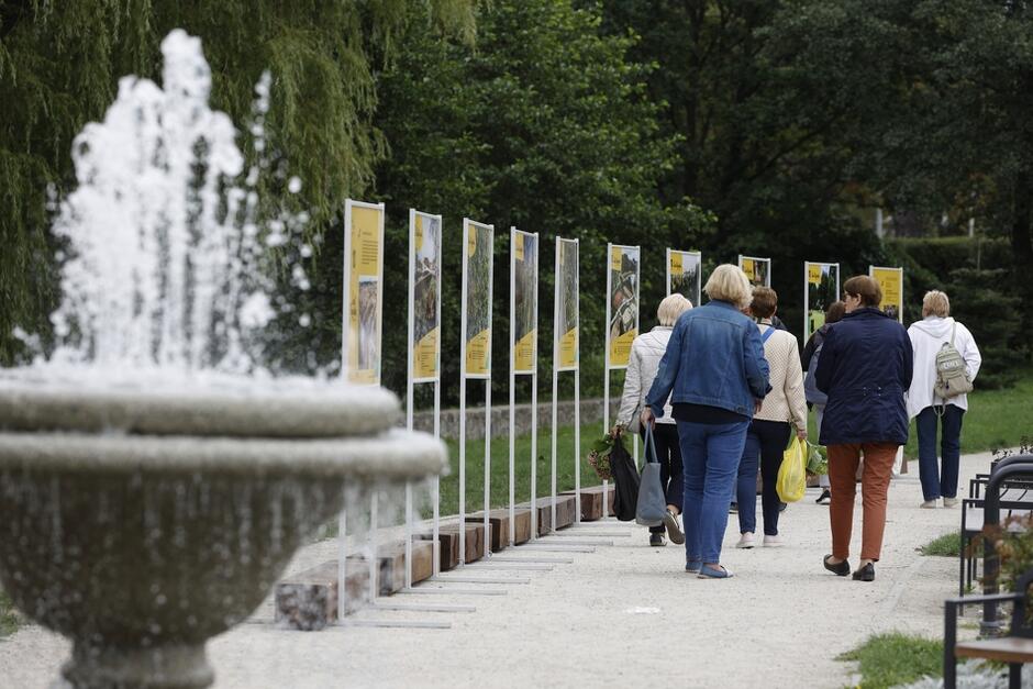 Plansze wystawy o historii Budżetu Obywatelskiego w Gdańsku ustawiono w Parku Oruńskim przy fontannie