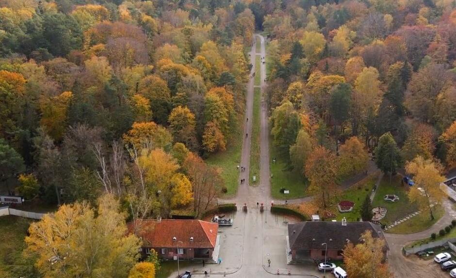 Cmentarz Srebrzysko. Wejście i aleja główna 