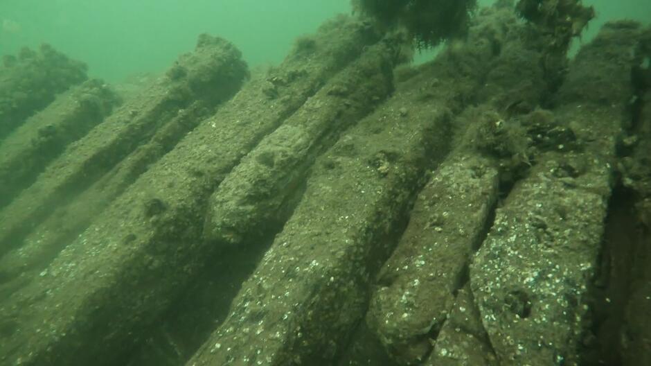 Fragment wraku „Solena” podczas ostatnich badań podwodnych z widocznym intensywnym porostem roślinności i organizmów wodnych