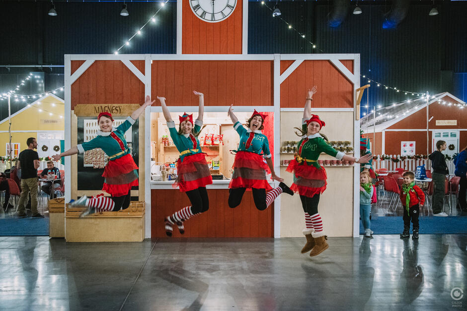 Wielka Fabryka Elfów w Gdańsku to coroczna impreza świąteczna dla dzieci w wieku 3-10 lat. Odbywa się w AmberExpo