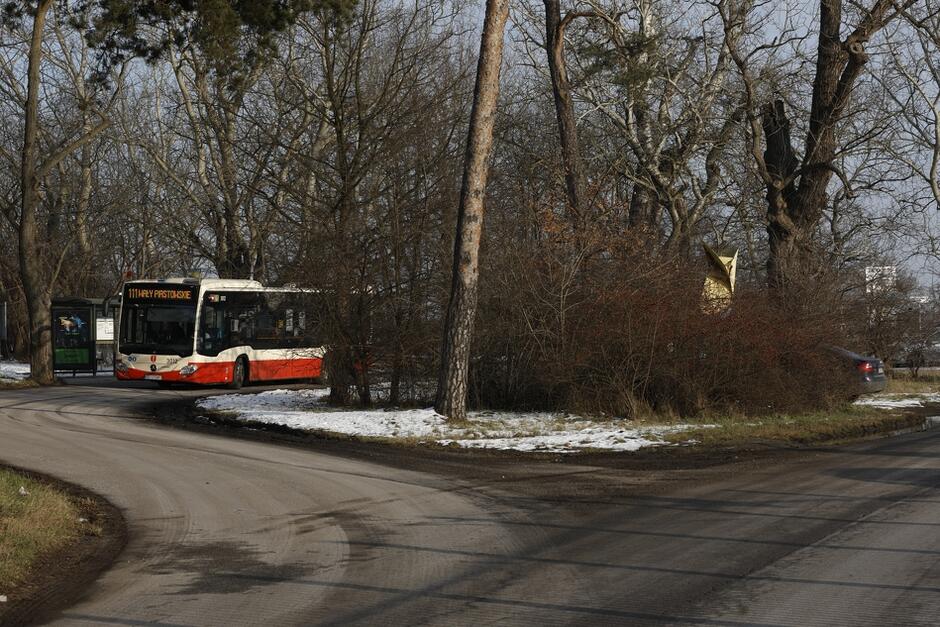 na zdjęciu fragment pętli autobusowej, widać fragment miejskiego autobusu biało-czerwonego, wyjeżdża zza zakrętu