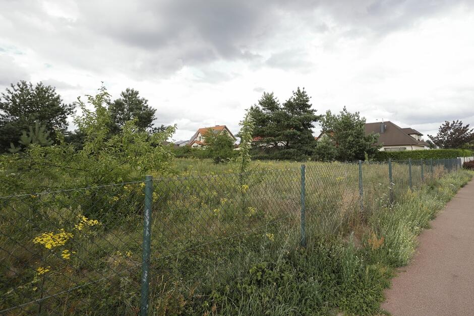 na zdjęciu zielony teren z wysoka trawą i chwastami ogrodzony metalowym ogrodzeniem, w tle kilka niewysokich domów jednorodzinnych
