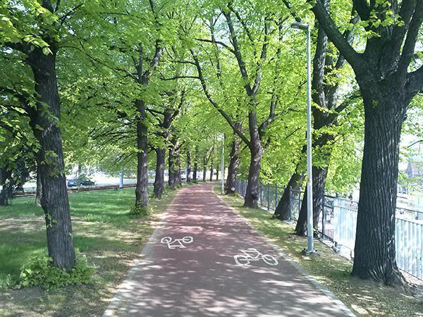 Droga rowerowa wzdłuż ul. 3-go Maja w Gdańsku.