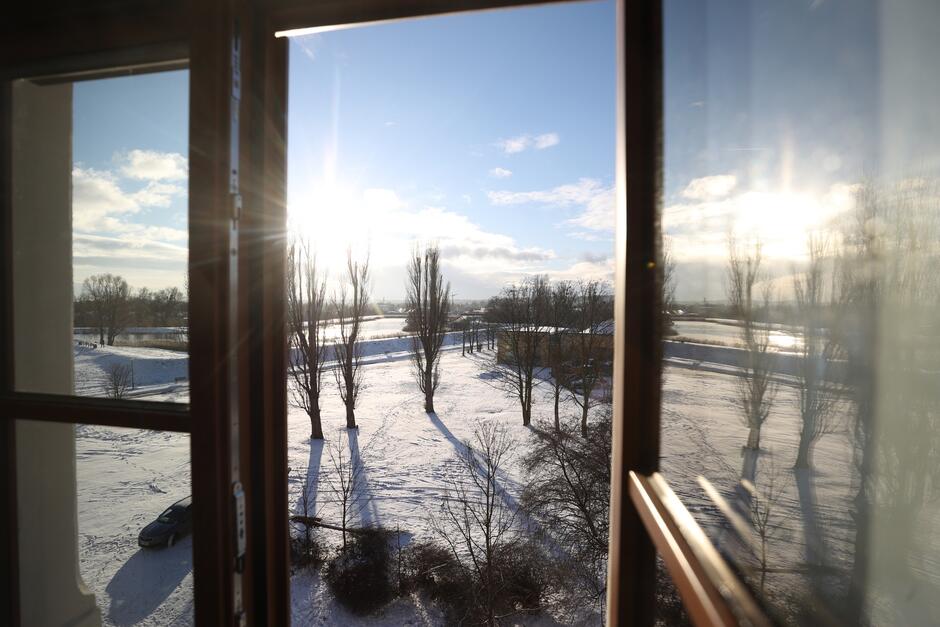 Widzimy z wnętrza mieszkania okno i drzwi balkonowe z brązowymi ramami. Za oknem rozpościera się zimowy pejzaż - trawnik pokryty śniegiem i bezlistne młode drzewa