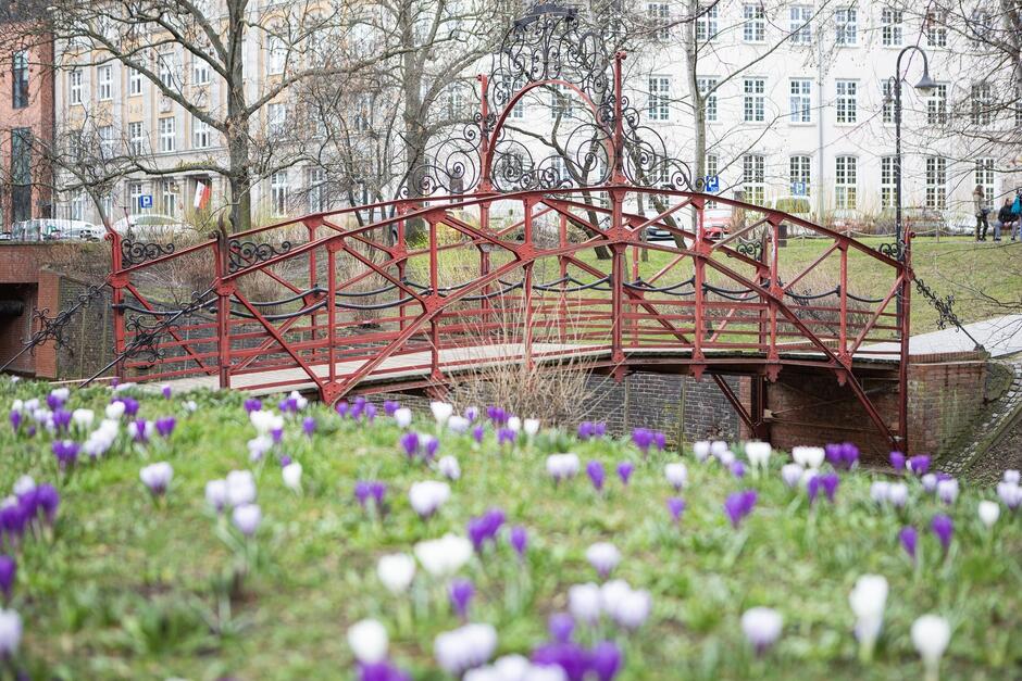 niewielki stalowy most, w kolorze czerwonym przewieszony nad rzeką. Na pierwszym planie kwiaty