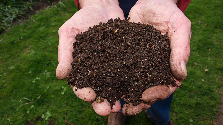 Dłonie ludzkie trzymające garść czarnej ziemi