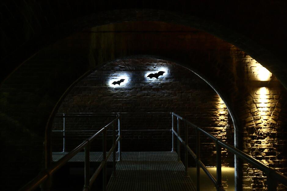 Ciemny tunel z elementami światła i wizerunkami dwóch nietoperzy 