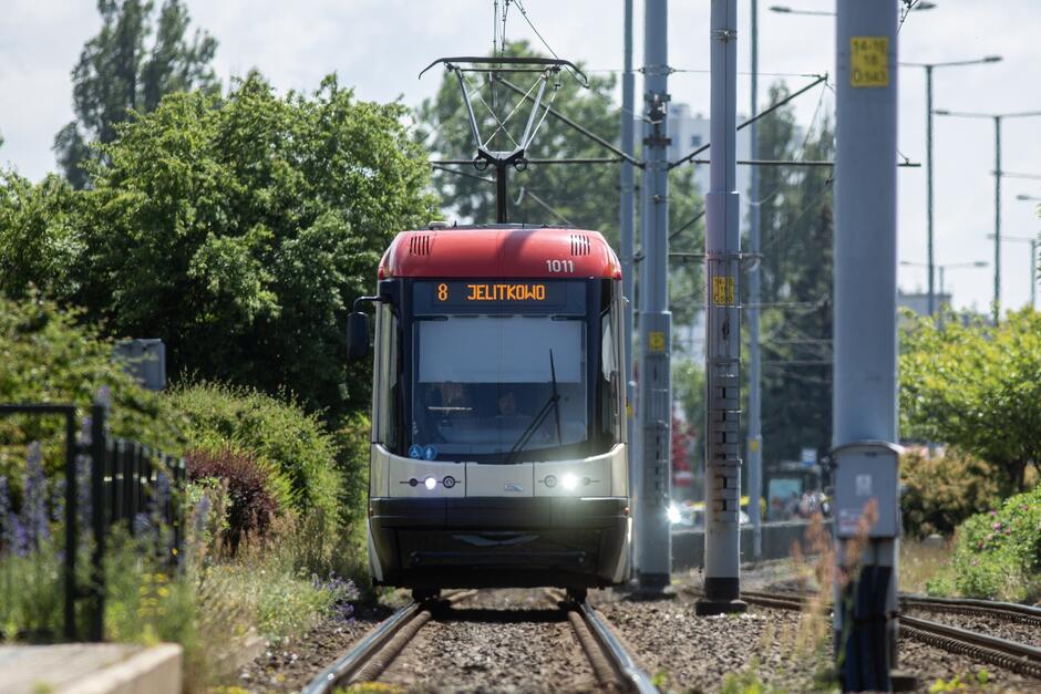 Tramwaj na torach, po bokach zieleń