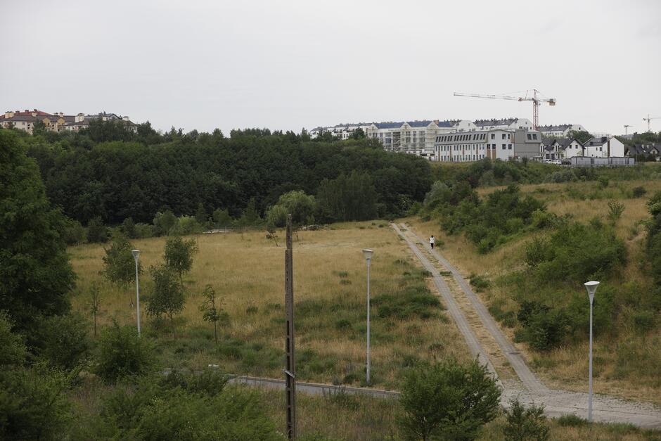 zdjęcie z drona, widać zielony teren, drzewa i trawniki, w tle zabudowa mieszkaniowa