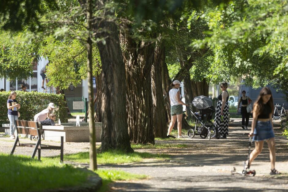 Kilka osób, w tym dzieci oraz matka z wózkiem dziecięcym, przebywających w parku