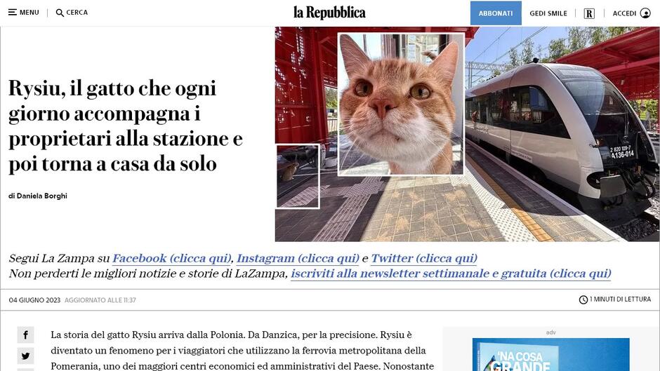Fragment artykułu z włoskiej gazety ze zdjęciem rudego kota i pociągu