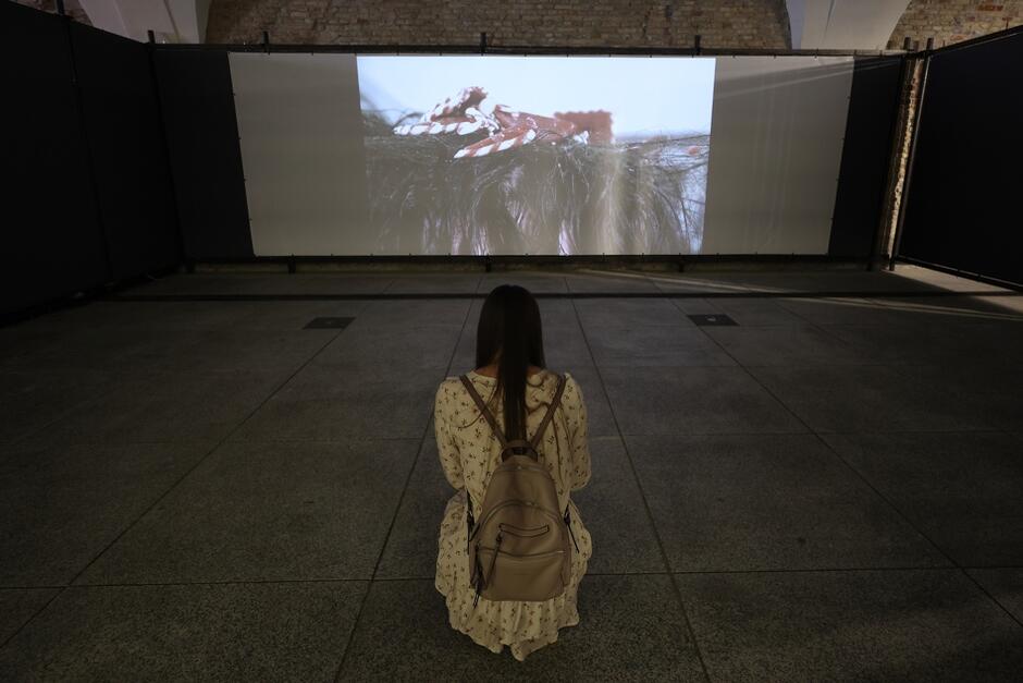 scenę widzimy od tyłu: dziewczyna z długimi włosami, w sukience i z plecakiem na plecach siedzi na ziemi i ogląda film na wielkim ekranie